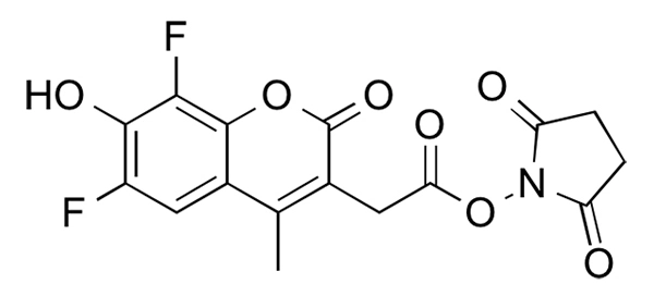 6,8-Difluoro-7-hydroxy-4-methylcoumarin NHS Ester