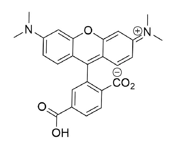 6-TAMRA Acid