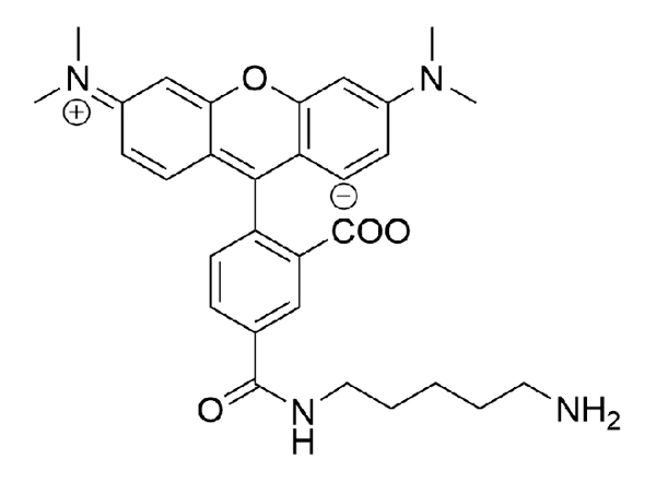 5-TAMRA Cadaverine