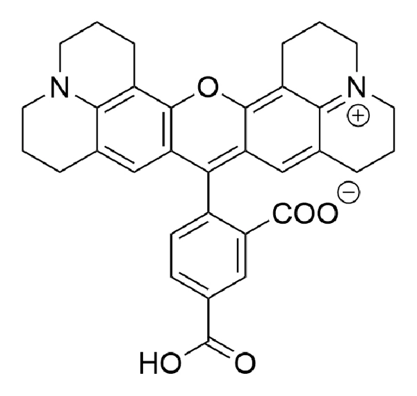 5-ROX (5-Carboxy-X-Rhodamine) | Vector Labs