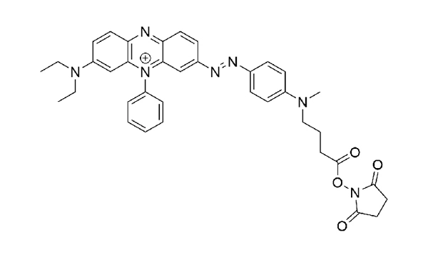 UBQ-3 NHS Ester