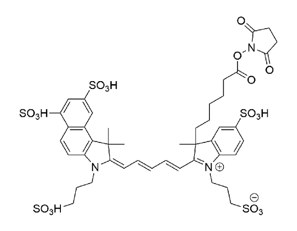 AZDye 660 NHS Ester | Vector Labs