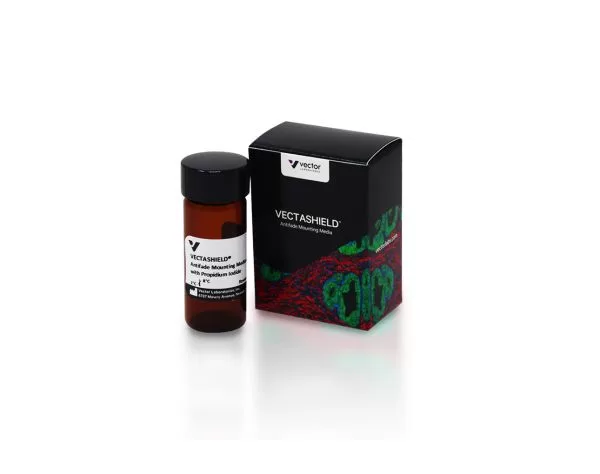 VECTASHIELD Antifade Mounting Medium with Propidium Iodide (PI) 3 h 1300 10 vectashield antifade mouting propidium iodide pi jpg