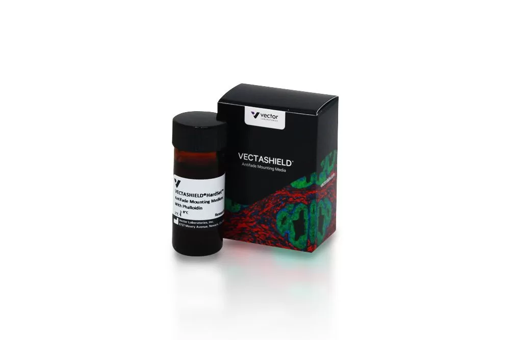 VECTASHIELD HardSet Antifade Mounting Medium With Phalloidin