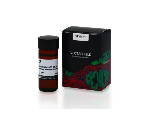 VECTASHIELD PLUS Antifade Mounting Medium | Vector Labs