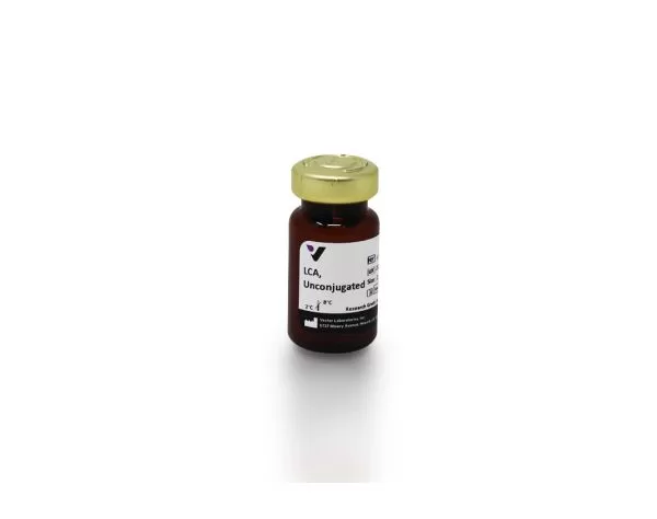 l 1040 25 lens culinaris agglutinin lca unconjugated 1 jpg