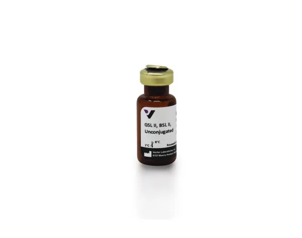 Griffonia (Bandeiraea) Simplicifolia Lectin II (GSL II, BSL II), Unconjugated