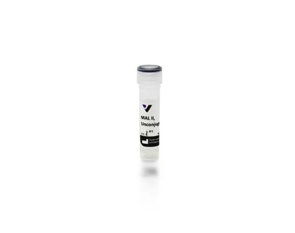 Maackia Amurensis Lectin II (MAL II), Unconjugated