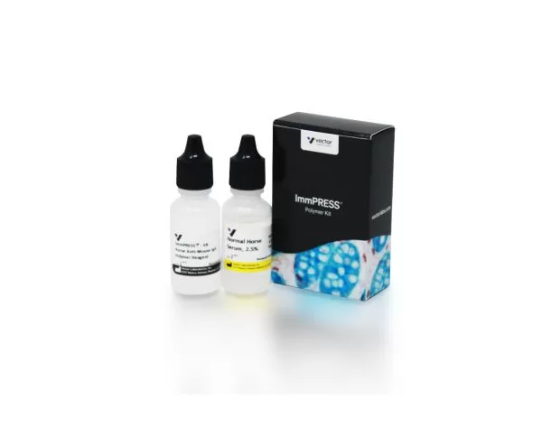ImmPRESS-VR Horse Anti-Mouse IgG Polymer Detection Kit, Peroxidase, Veterinary Reagent 6 mp 6402 15 immpress vr horse anti mouse polymer detection hrp jpg