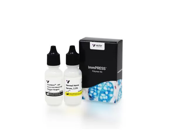 mp 7402 15 immpress hrp horse anti mouse polymer detection jpg