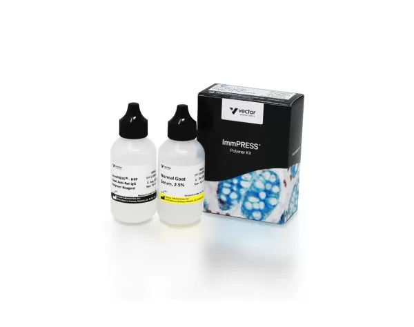 ImmPRESS HRP Goat Anti-Rat IgG Polymer Detection Kit, Peroxidase