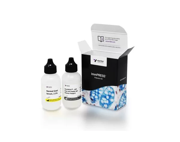 ImmPRESS HRP Goat Anti-Rabbit IgG Polymer Detection Kit