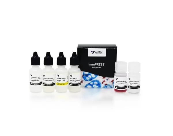 ImmPRESS Excel Amplified Polymer Staining Kit, Anti-Rabbit IgG, Peroxidase 3 mp 7601 15 immpress excel amplified polymer anti rabbit hrp jpg