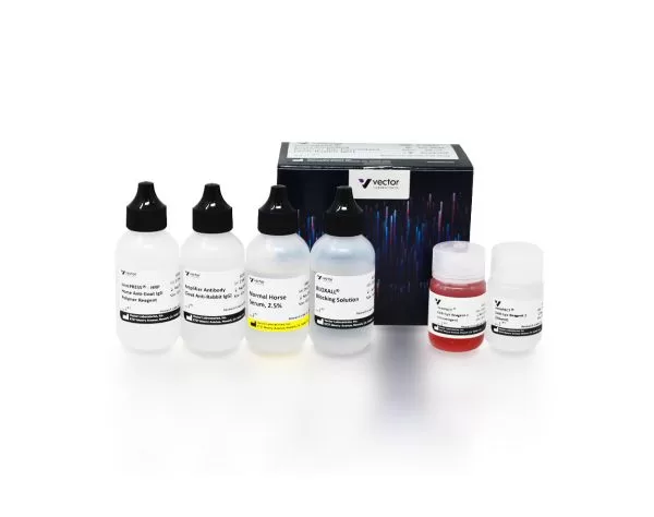 ImmPRESS Excel Amplified Polymer Staining Kit, Anti-Rabbit IgG, Peroxidase 4 mp 7601 50 immpress excel amplified hrp polymer staining anti rabbit jpg