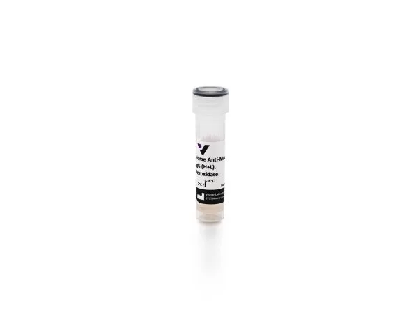Horse Anti-Mouse IgG Antibody (H+L), Peroxidase