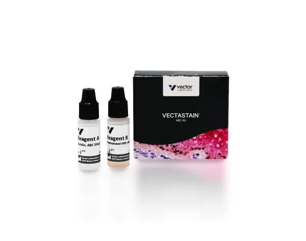 Neighborhood×Effector Prot VECTASTAIN® Elite ABC-HRP Kit, Peroxidase (Standard) | Vector Labs