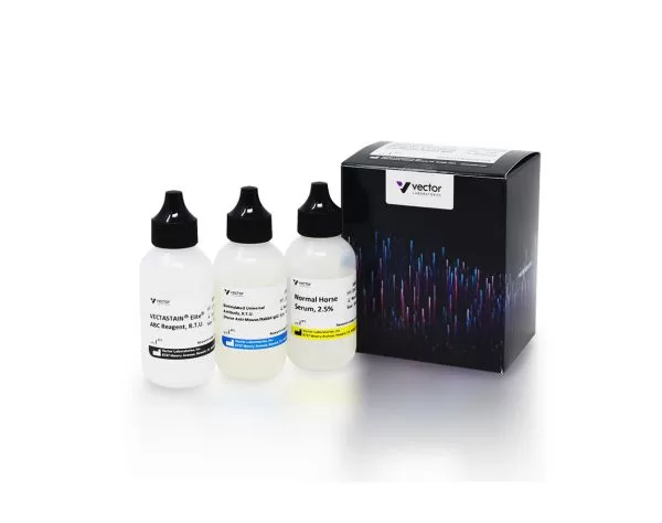 VECTASTAIN® Elite ABC-HRP Kit, Peroxidase (Mouse IgG