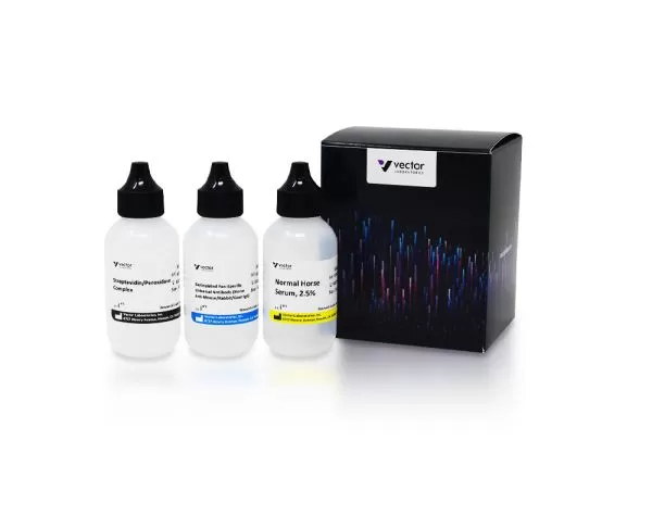 VECTASTAIN Universal Quick HRP Kit, Peroxidase, R.T.U. | Vector Labs