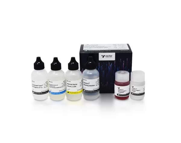VECTASTAIN Elite ABC Universal PLUS Kit, Peroxidase (Horse Anti-Mouse/Rabbit IgG) 2 pk 8200 vectastain elite abc universal plus hrp horse anti mouse rabbit jpg
