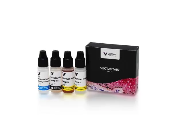 VECTASTAIN Universal Quick HRP Kit, Peroxidase (Concentrate