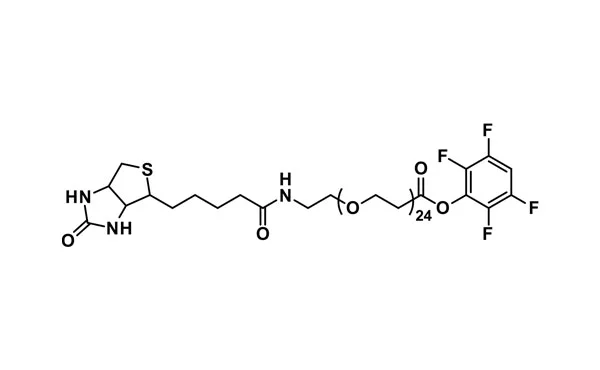Biotin-dPEG®₂₄-TFP ester