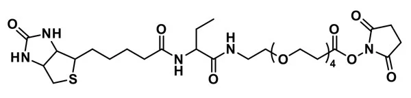 NHS-dPEG®₄-biotinidase resistant biotin