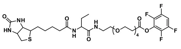 TFP-dPEG®₄-biotinidase resistant biotin