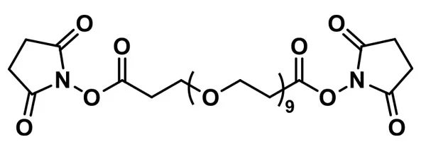 Bis-dPEG®₉-NHS ester