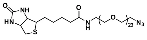Biotin-dPEG®₂₃-azide