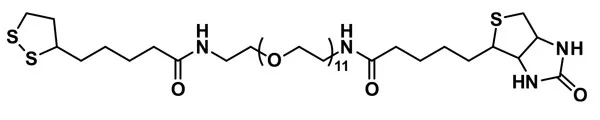 Biotin-dPEG®₁₁-Lipoamide