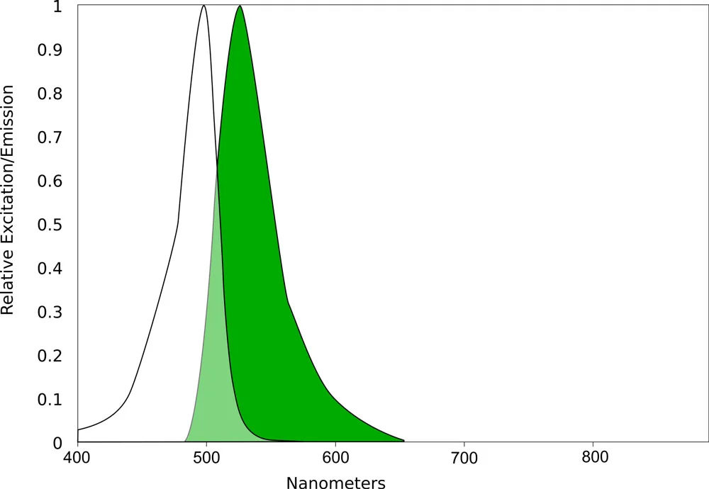 AQuora® Fluorescein-NHS Ester