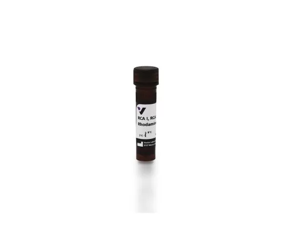 RCA120, Rhodamine