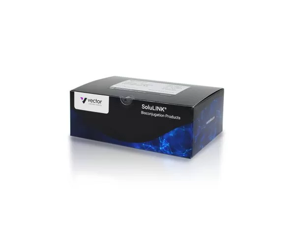 Protein-Protein Conjugation Kit