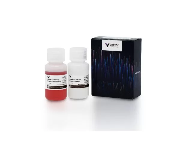 ImmPACT DAB EqV Substrate, Peroxidase (HRP) | Vector Labs