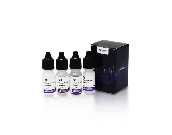 Vector VIP Substrate Kit, Peroxidase (HRP) | Vector Labs