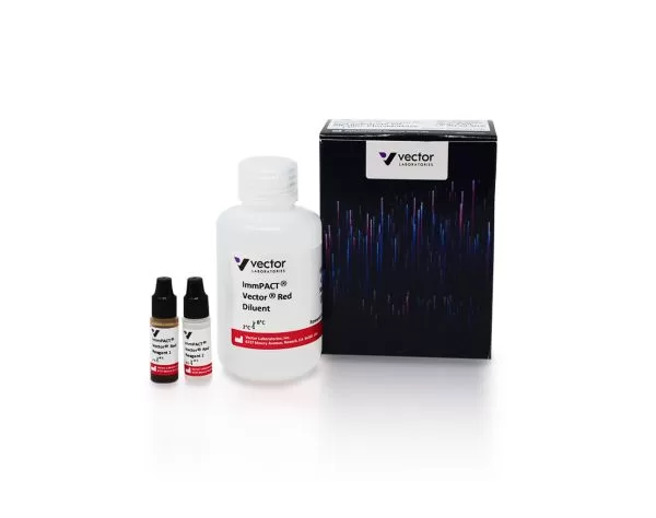 ImmPACT Vector Red Substrate, Alkaline Phosphatase (AP) | Vector Labs
