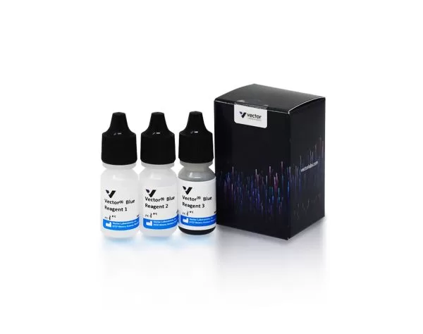 Vector Blue Substrate Kit, Alkaline Phosphatase (AP) | Vector Labs