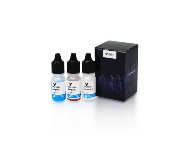 BCIP/NBT Substrate Kit, Alkaline Phosphatase (AP), (5-bromo-4