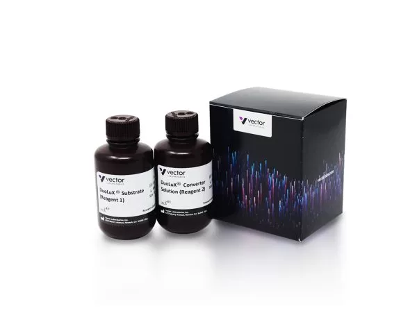 DuoLuX® Chemiluminescent and Fluorescent Substrate 1 sk 6604 duolux chemiluminescent fluorescent substrate hrp jpg