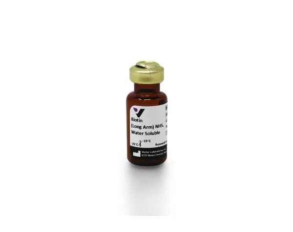 sp 1210 50 biotin long arm nhs water soluble jpg