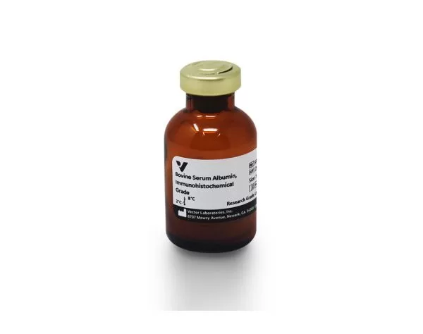 sp 5050 500 bovine serum albumin bsa ihc grade jpg