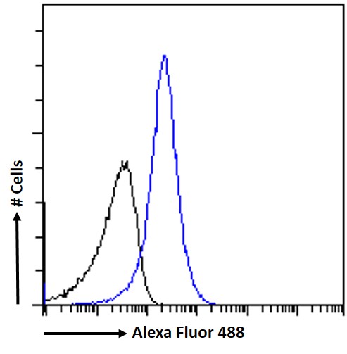 Goat Anti-ABHD6 Antibody