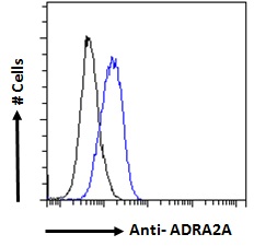 Goat Anti-ADRA2A Antibody