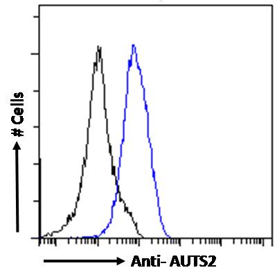 Goat Anti-AUTS2  Antibody