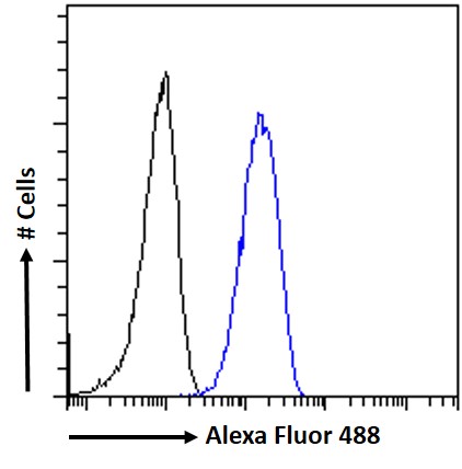 Goat Anti-beta-2-microglobulin Antibody
