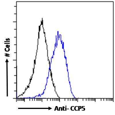 Goat Anti-CCP5 (mouse) Antibody