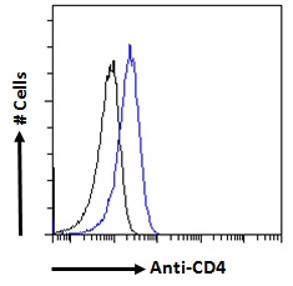 Goat Anti-CD4 Antibody