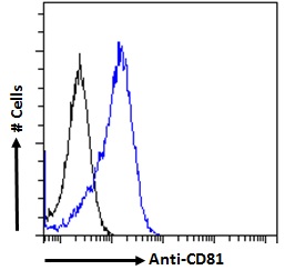 Goat Anti-CD81 Antibody