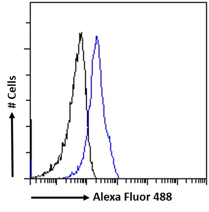 Goat Anti-CRIPTO Antibody