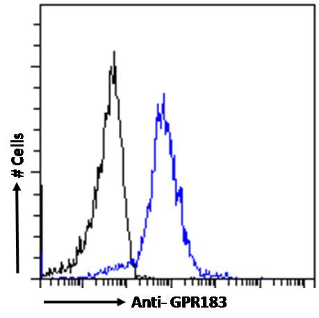 Goat Anti-GPR183 Antibody
